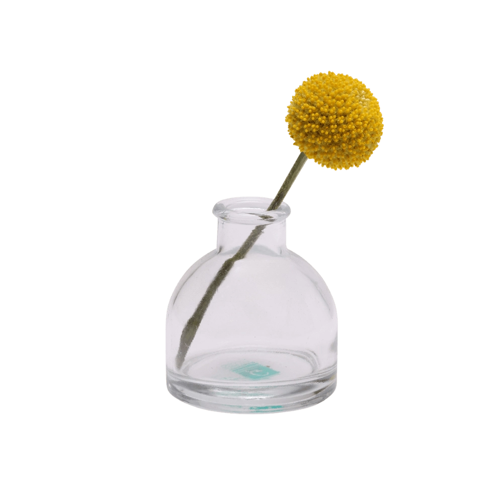 Chive Loft round glass bud vase in clear glass styled with a single yellow billy ball bloom.