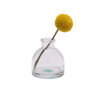 Chive Loft round glass bud vase in clear glass styled with a single yellow billy ball bloom.