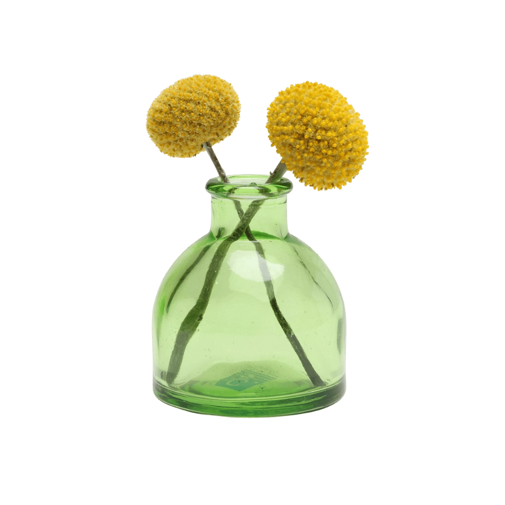 Chive Loft round glass bud vase in green holding two yellow billy ball blooms, crossed at the stems.