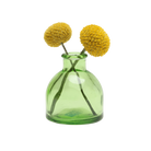 Chive Loft round glass bud vase in green holding two yellow billy ball blooms, crossed at the stems.
