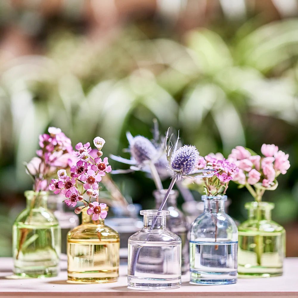 Chive Loft glass bud vases display outdoors with pink blooms and thistle among sage and amber jars.