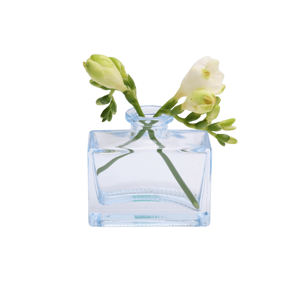 Chive Loft glass bud vase in Light Blue cradles white freesia with buds trailing to each side.