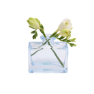 Chive Loft glass bud vase in Light Blue cradles white freesia with buds trailing to each side.