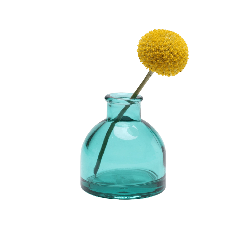Chive Loft round glass bud vase in teal styled with a single yellow billy ball bloom.