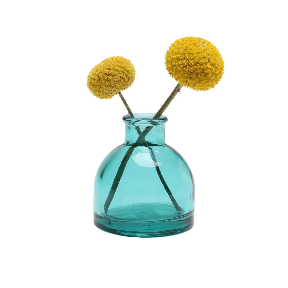 Chive Loft round glass bud vase in teal holding two yellow billy ball blooms, crossed at the stems.