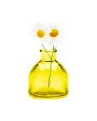 Chive Loft round glass bud vase in yellow styled with two small white daisy blooms.