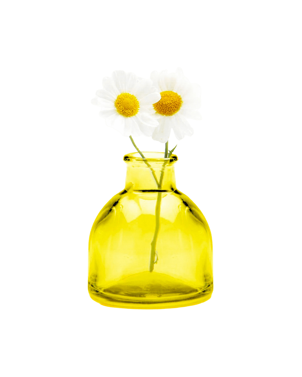 Chive Loft glass bud vase in Yellow Round features a rounded jar body with a short flared neck.