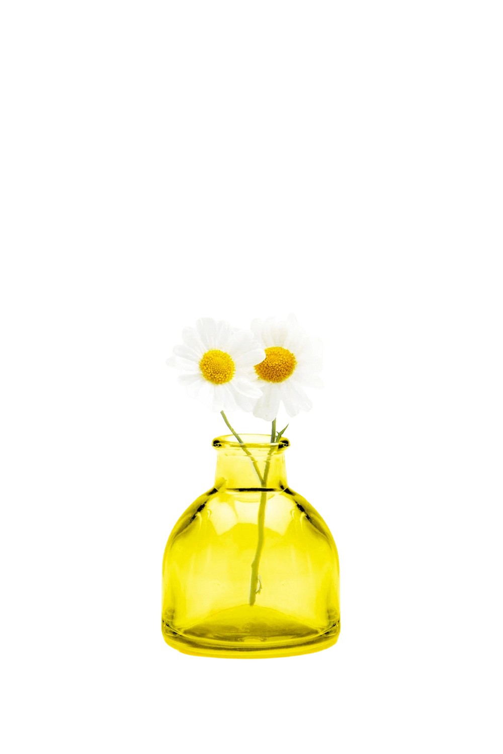 Loft Glass Vintage Bud Vases For Weddings