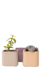 Multicolour Ceramic Indoor Succulent Pot - Svek - handmade by Chive Studio Toronto