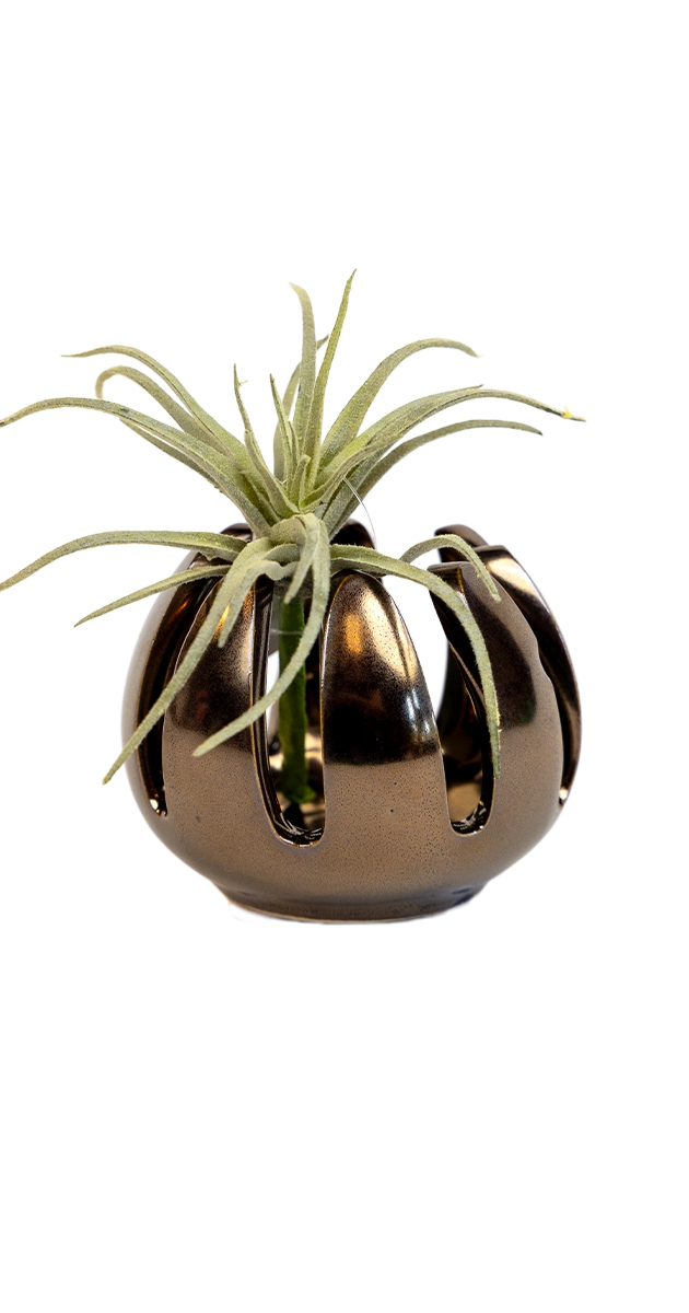 Grassy Dark Chrome - Gideon - handmade by ChIve Studio Toronto