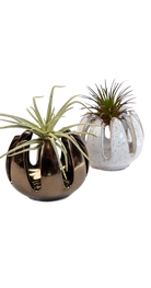 Grassy Dark Chrome - Gideon - handmade by ChIve Studio Toronto