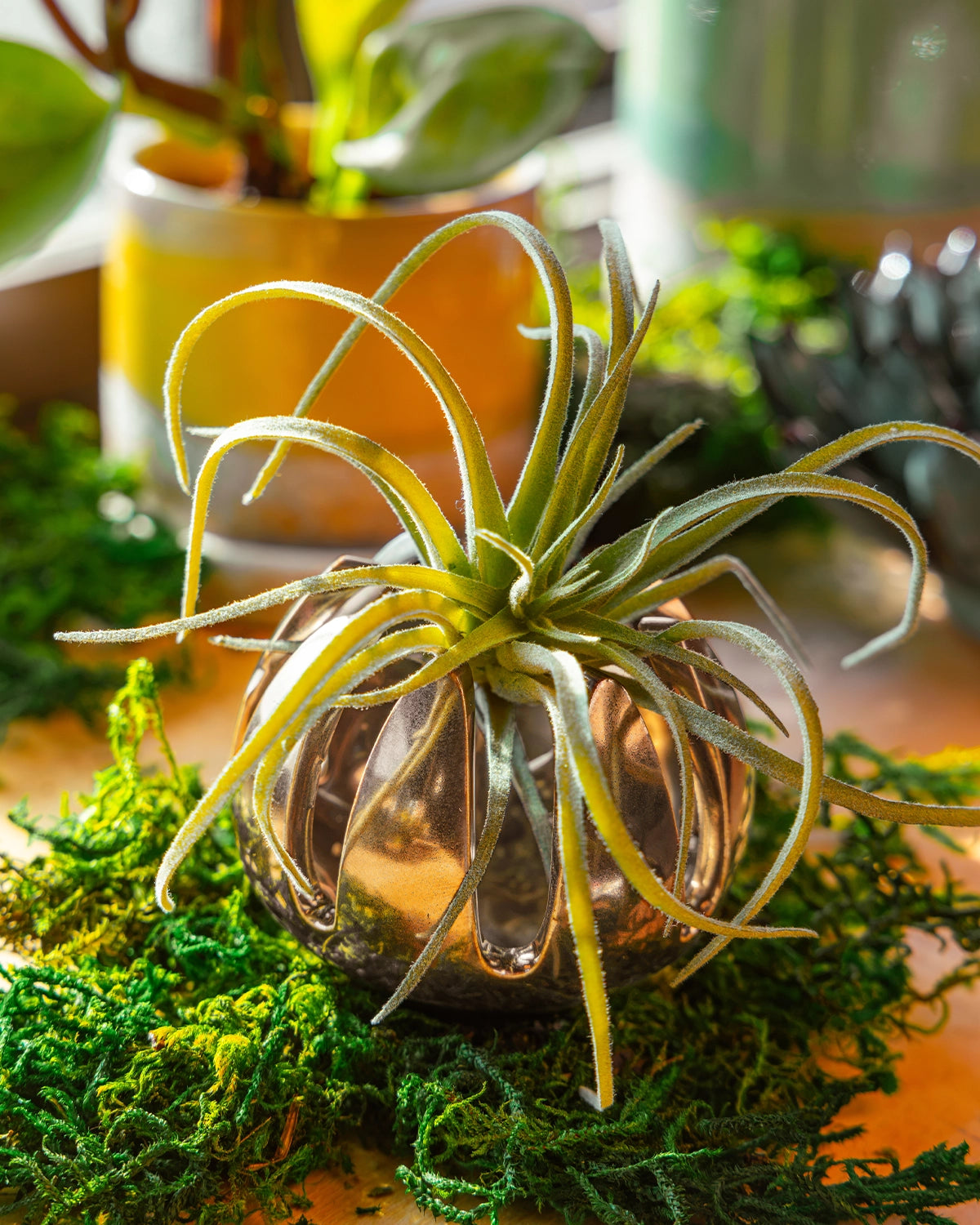 Grassy Chrome - Gideon - handmade by ChIve Studio Toronto