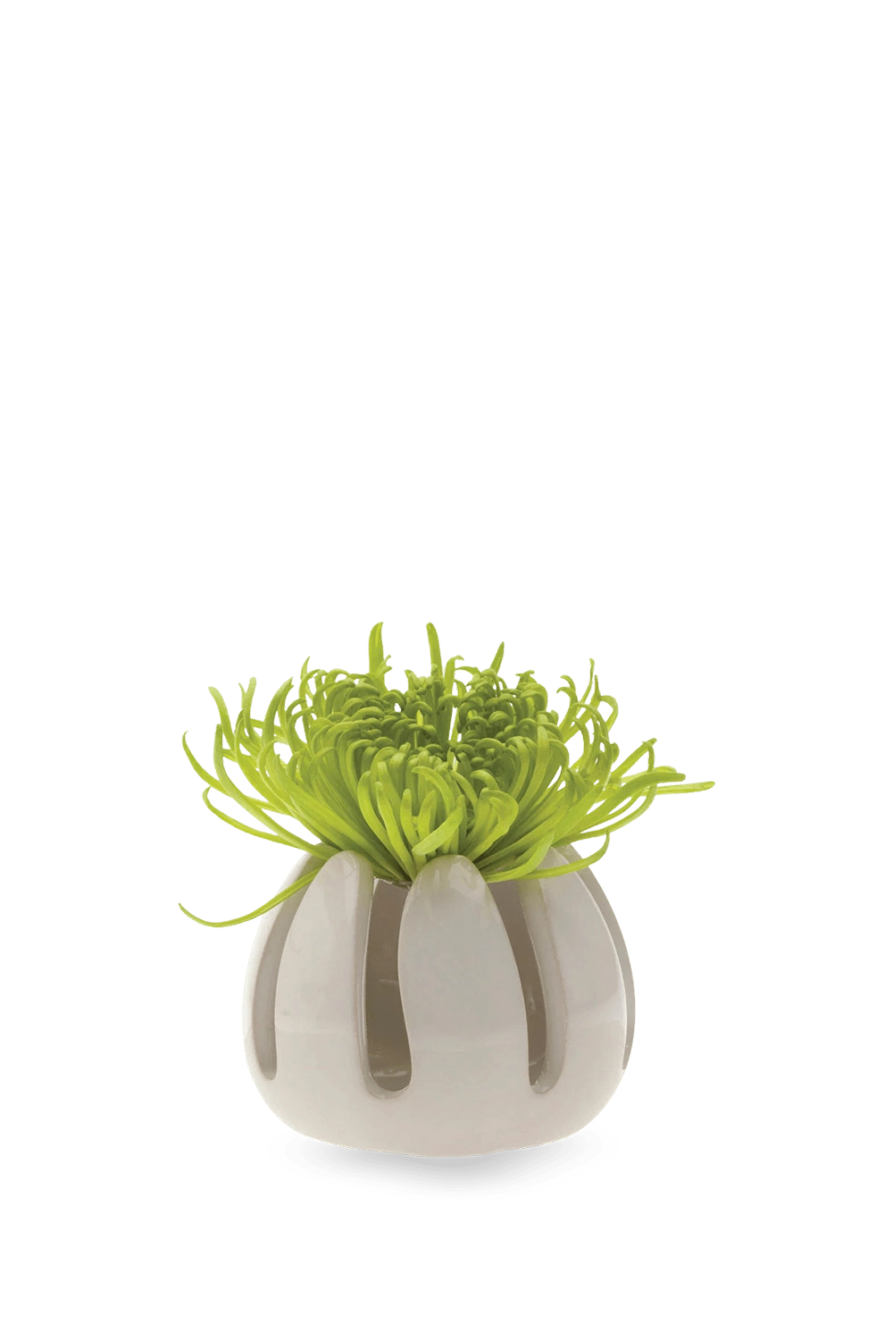 Grassy White Ceramic Air Plant Container - Gideon - handmade by Chive Studio Toronto