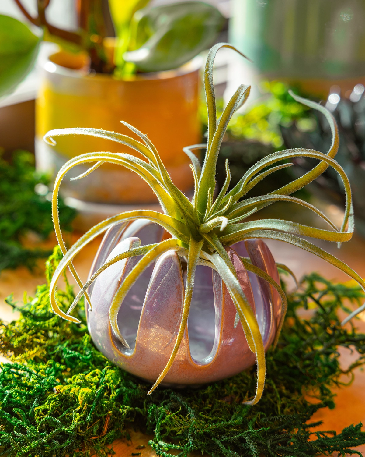 Grassy Mauve - Gideon - handmade by ChIve Studio Toronto