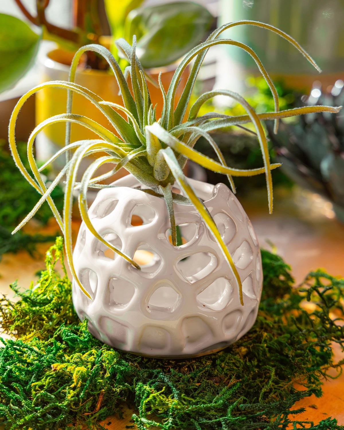 Planet Moon - Gideon - handmade by Chive Studio Toronto