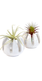 Grassy White Speckles - Gideon - handmade by Chive Studio Toronto