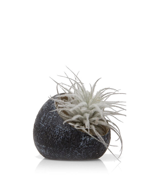 Terrarium Koski Ceramic Air Plant Holder