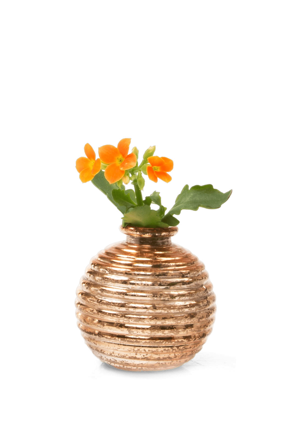 Gold Glass Bud Vase - Smasak - handmade by Chive Studio Toronto