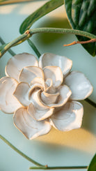 Essex - 7 Piece Curated Set - Chive Ceramics Studio - Ceramic Flower Sets - Chive Ceramics Studio