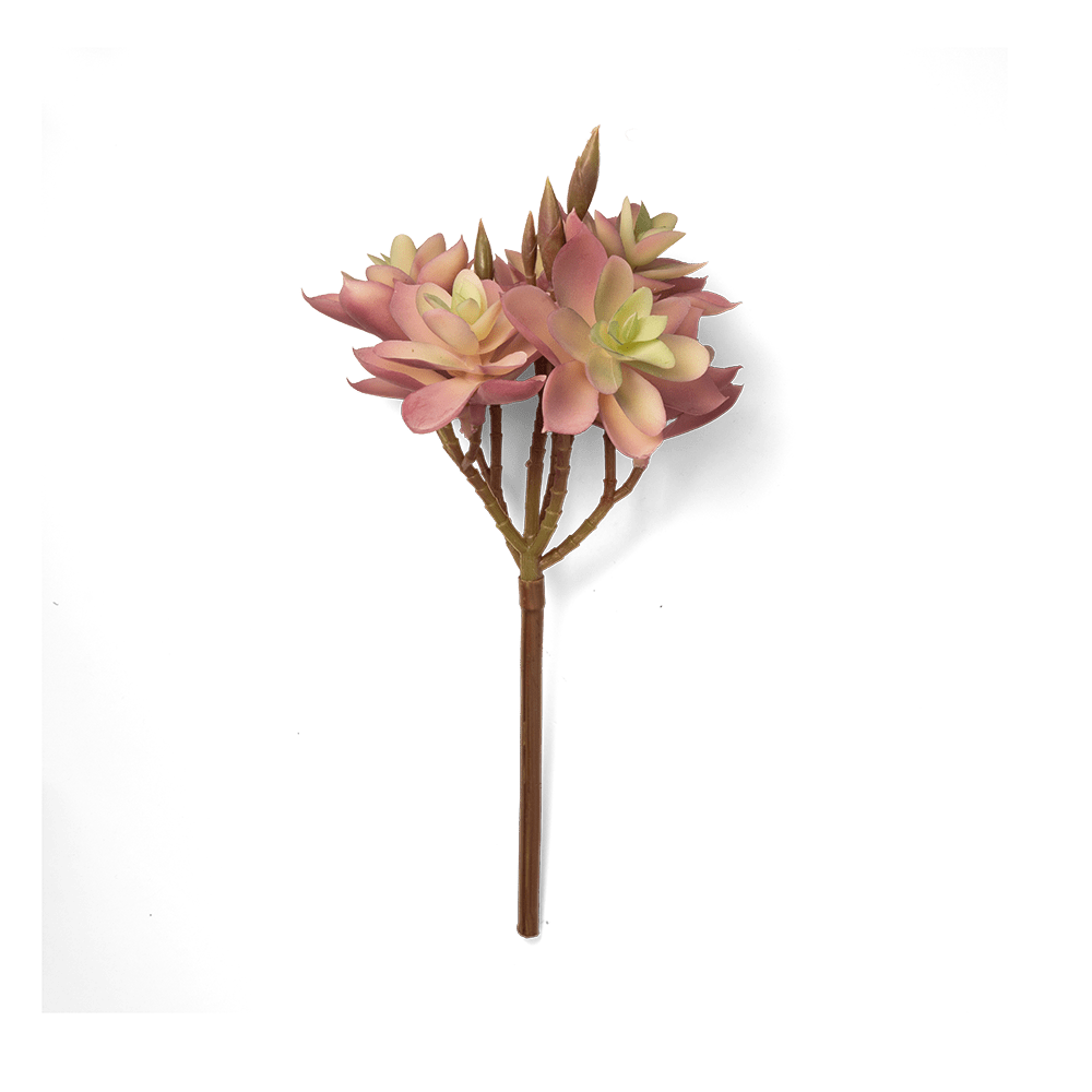 Premium Artificial Succulents - Lifelike Botanical Decor - Chive Ceramics Studio - Chive US Wholesale