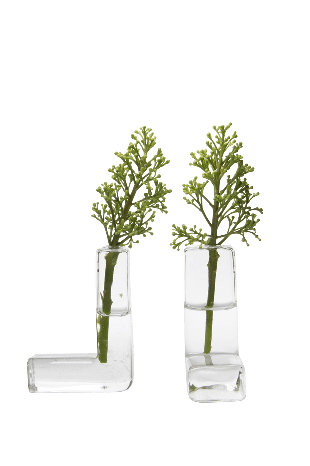 Clear Glass Modern Flower Vase - The L - handmade by Chive Studio Toronto
