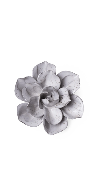 Cement Aqualla Gardenia Ceramic Wall Flower | Japan | Chive