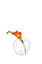 Clear Glass Modern Flower Vase - Dent - handmade by Chive Studio Toronto
