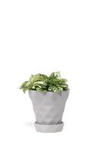 Light Grey Porcelain Modern Indoor Plant Pot with Saucer - Diamond - handmade by Chive Studio Toronto