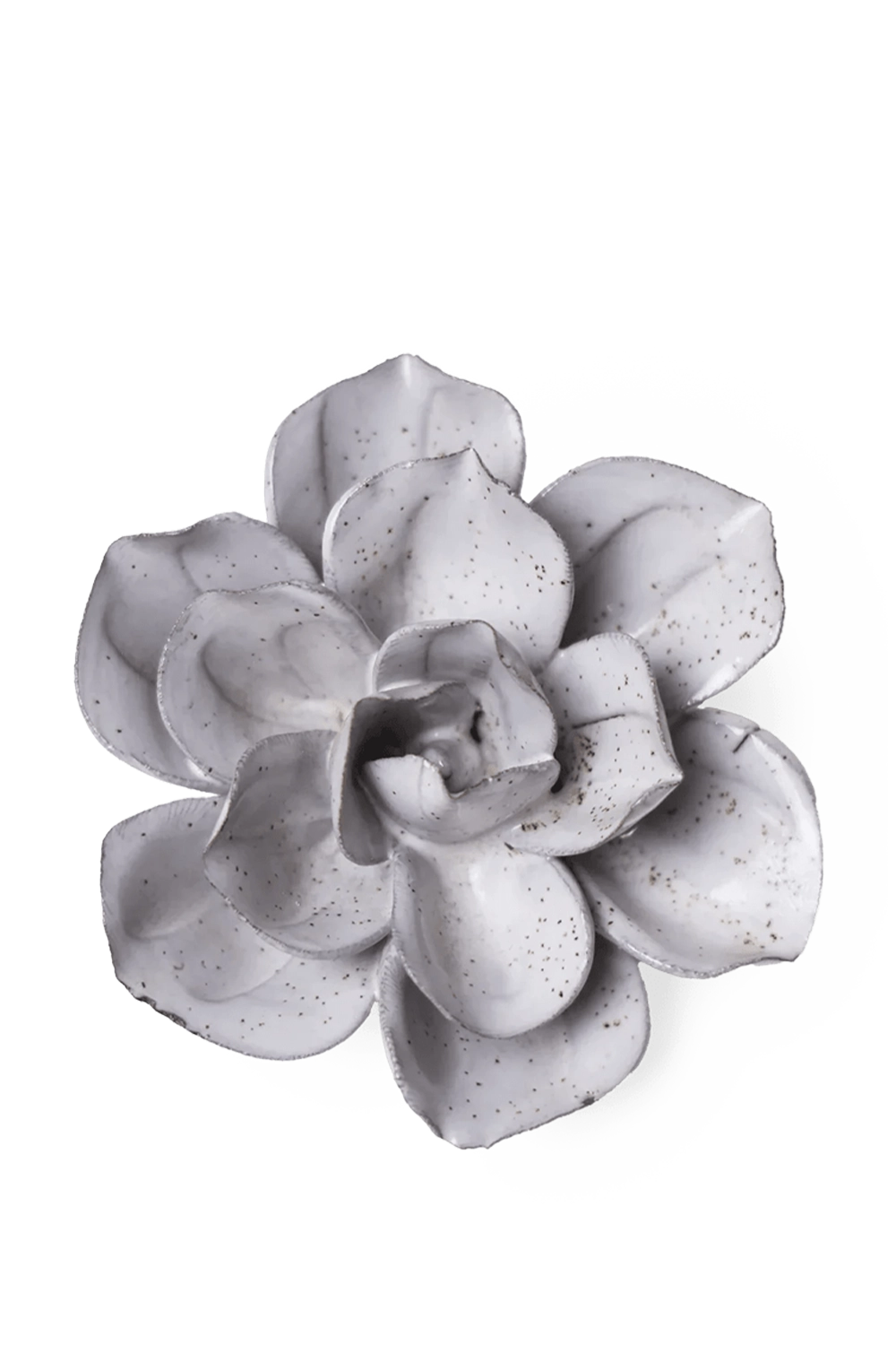 Cement Aqualla Gardenia - Japan Collection - handmade by Chive Studio Toronto