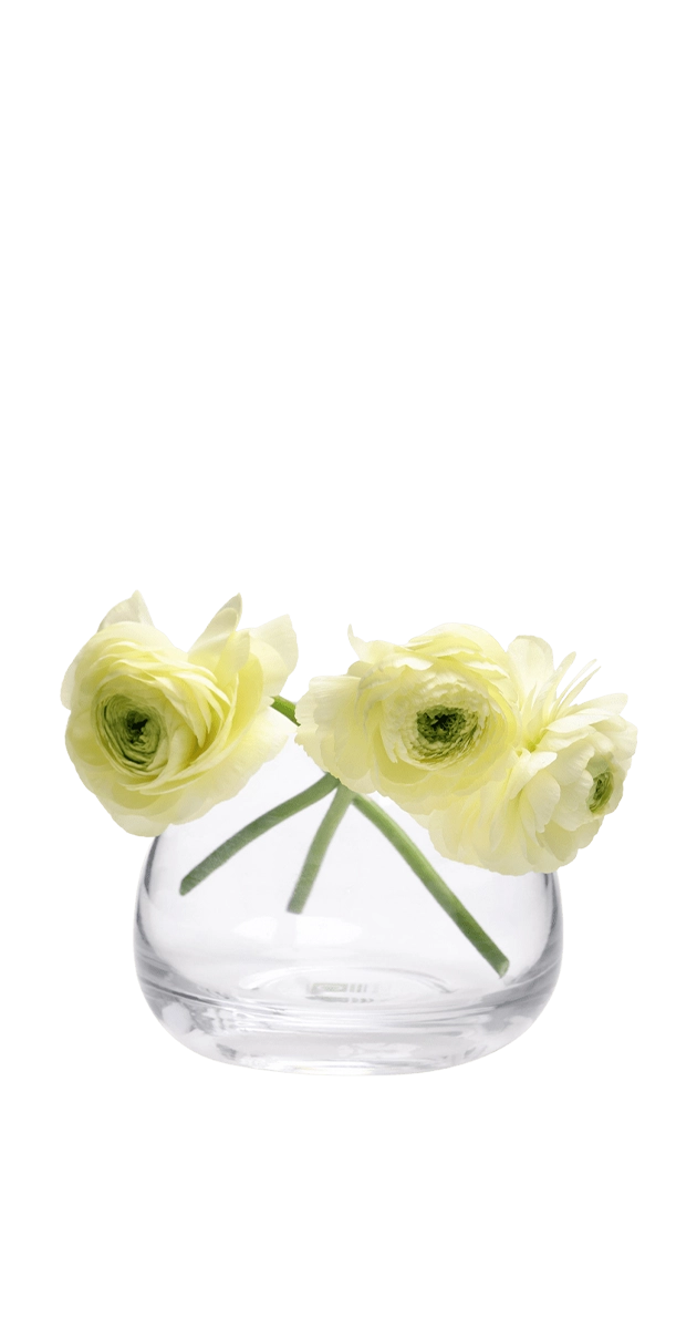 Three pale yellow ranunculus flowers in a clear round glass vase. | Chive