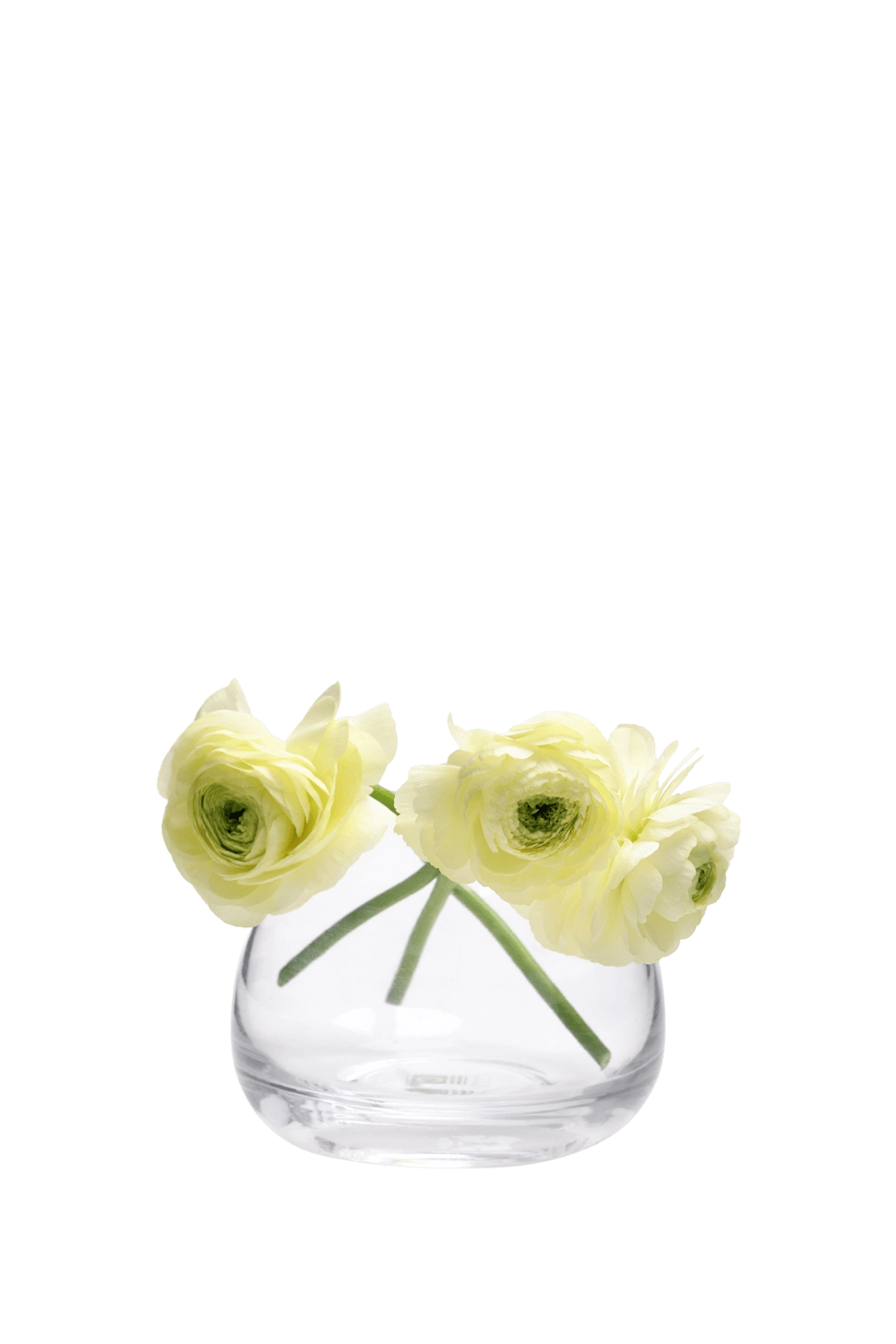 Clear glass vase with three light yellow flowers | Chive