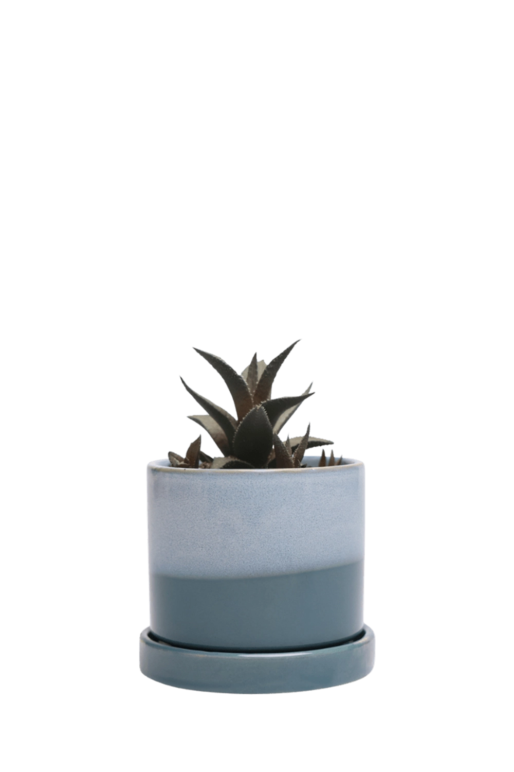Blue Aqua Small Ceramic Pot with Drainage Hole and Saucer - Minute - handmade by Chive Studio Toronto