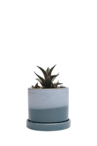 Blue Aqua Small Ceramic Pot with Drainage Hole and Saucer - Minute - handmade by Chive Studio Toronto
