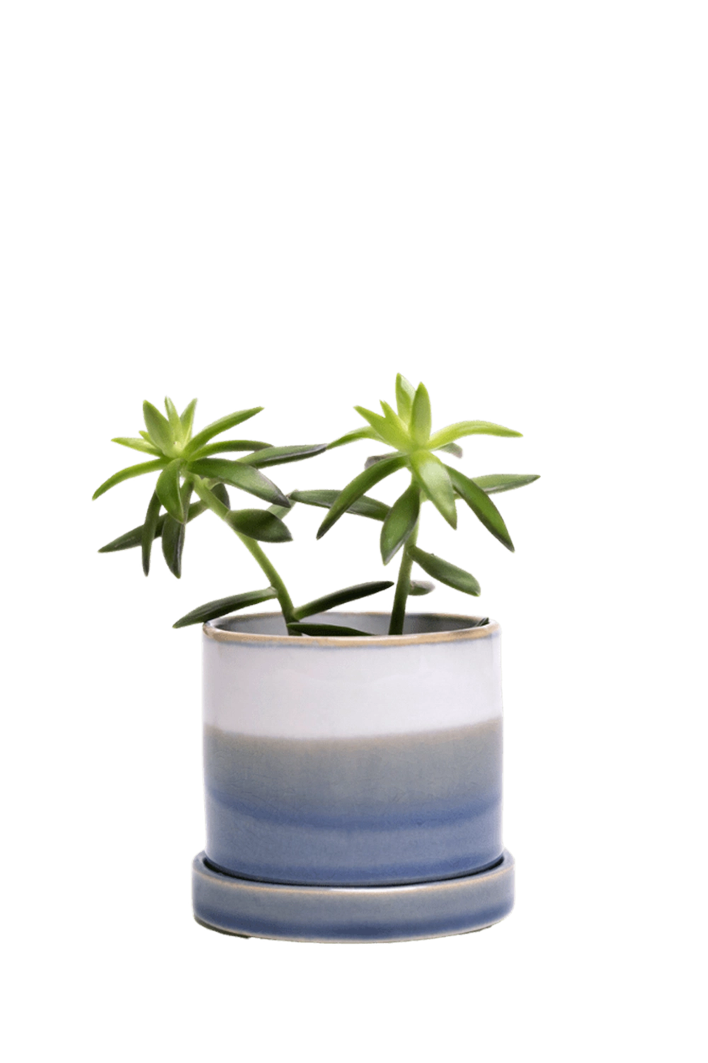 Blue Layers Speckles Small Ceramic Pot with Drainage Hole and Saucer - Minute - handmade by Chive Studio Toronto
