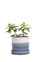 Blue Layers Speckles Small Ceramic Pot with Drainage Hole and Saucer - Minute - handmade by Chive Studio Toronto