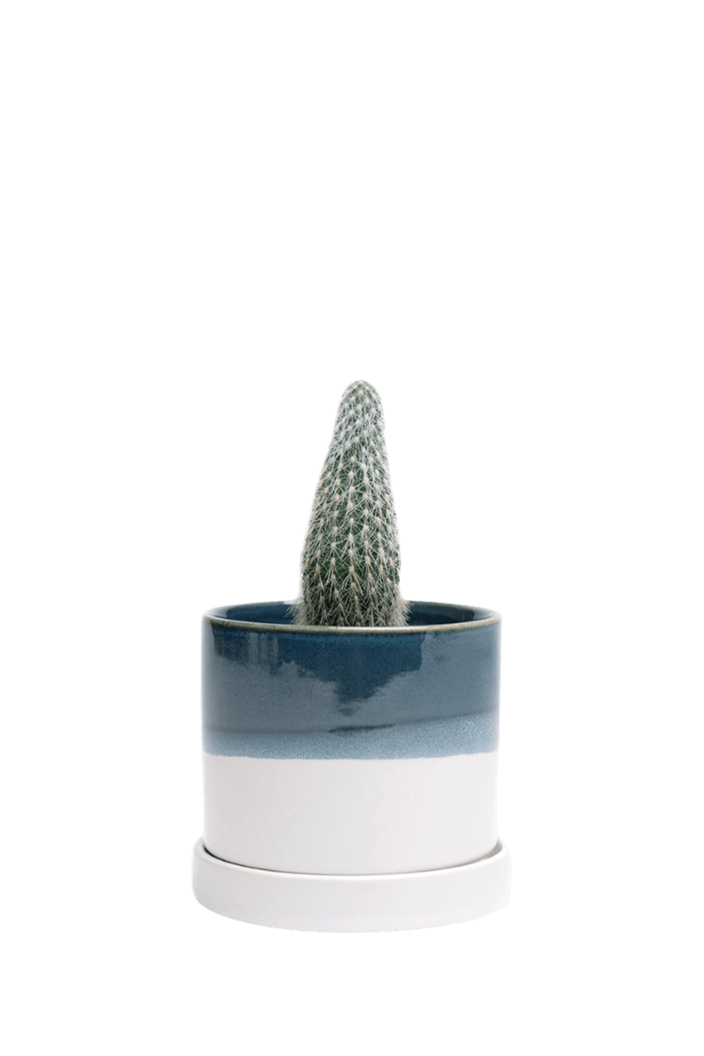 Green Blue Small Ceramic Pot with drainage Hole and Saucer - Minute - handmade by Chive Studio Toronto