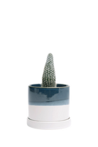 Green Blue Small Ceramic Pot with drainage Hole and Saucer - Minute - handmade by Chive Studio Toronto