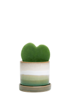 Green Layers Small Ceramic Pot with drainage Hole and Saucer - Minute - handmade by Chive Studio Toronto