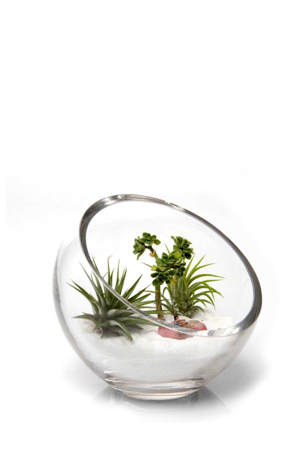 Clear Glass Succulent Garden - Terrarium Bowl - handmade by Chive Studio Toronto