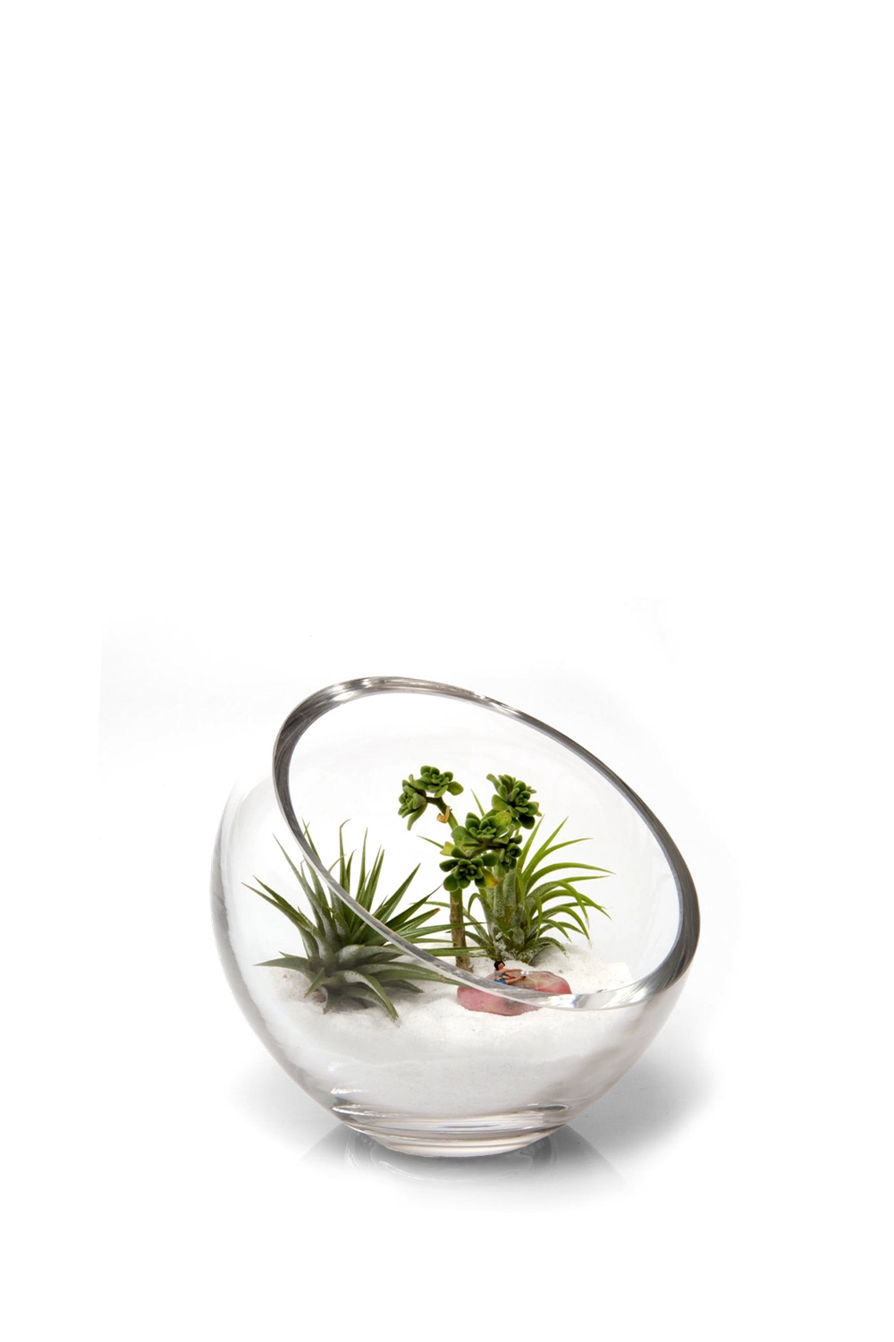 Clear Glass Succulent Garden - Terrarium Bowl - handmade by Chive Studio Toronto
