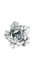 Blue White - Purslane - handmade by Chive Studio Toronto