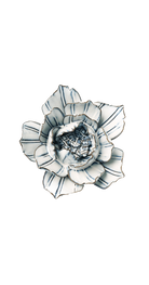 Blue White - Purslane - handmade by Chive Studio Toronto
