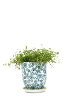 Green Flowers Porcelain Pot and Saucer Set with Drainage - Liberte - handmade by Chive Studio Toronto