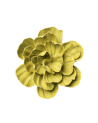Chartreuse Primrose ceramic wall flower — English Garden Collection — Chive Ceramics Studio