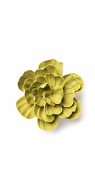 Chartreuse Primrose - February Birth Flower - handmade by Chive Studio Toronto