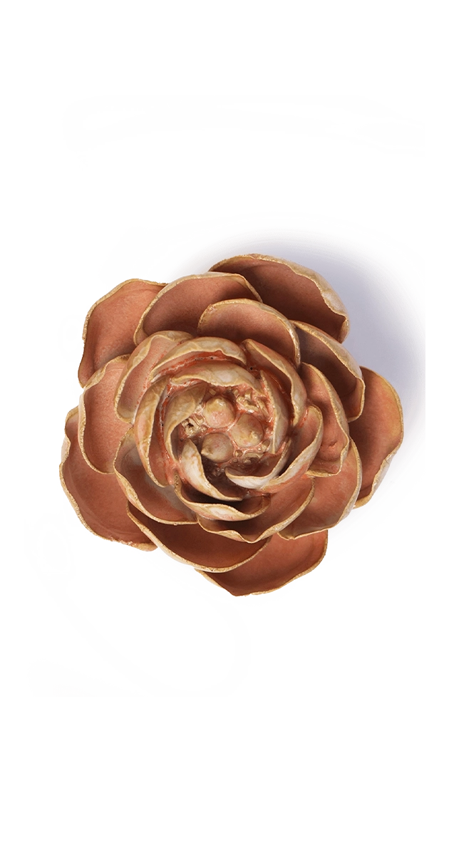Peach Pink - Big Ben Peony - handmade by Chive Studio Toronto