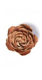 Peach Pink - Big Ben Peony - handmade by Chive Studio Toronto