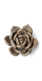 Blue - Succulent - handmade by Chive Studio Toronto