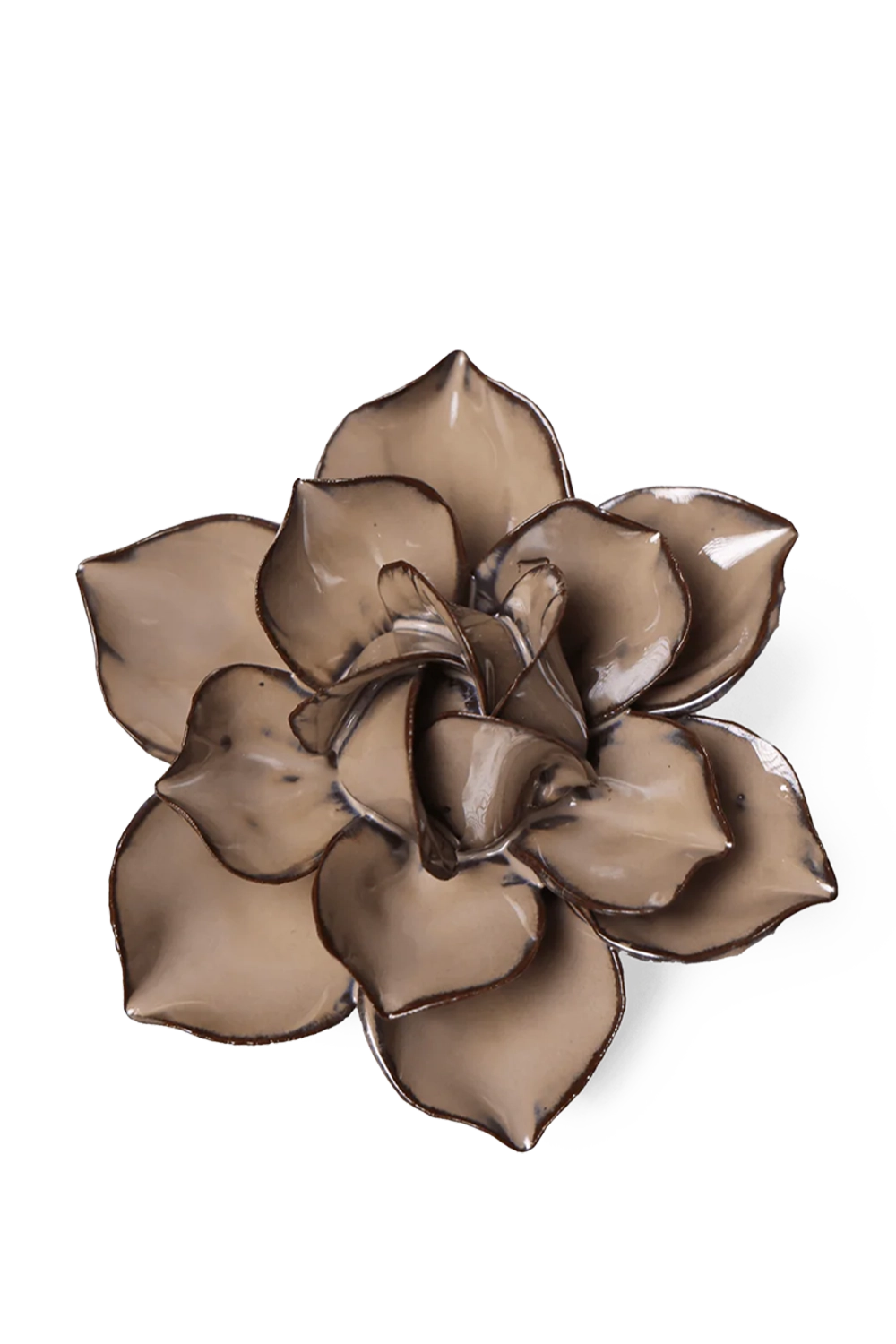 Latte Daffodil - Japan Collection - handmade by Chive Studio Toronto