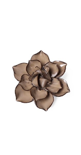 48th Anniversary Gift | Latte Daffodil | Chive